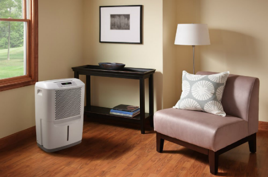 Frigidaire Dehumidifier, The Best Portable Dehumidifier